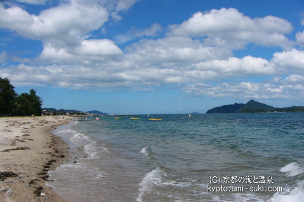 府中海水浴場の写真