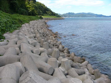 里波見海水浴場の写真1